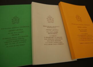 Październikowe spotkanie w Watykanie skupi się na rozwodach i innych kwestiach rodzinnych